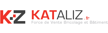 Kataliz